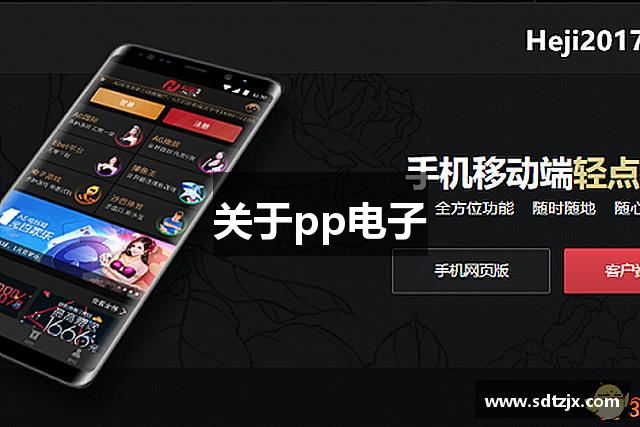 关于pp电子